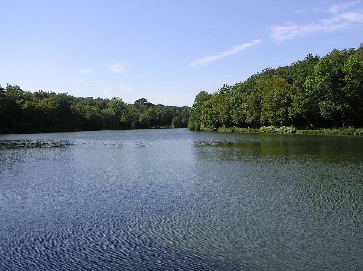 Etang de la Minière